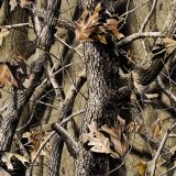 RealTree-Hardwoods-Camo-Brown