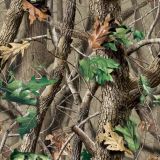 RealTree-Hardwoods-Camo.jpg