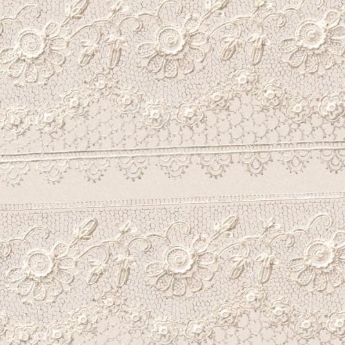 Realistic Lace 23