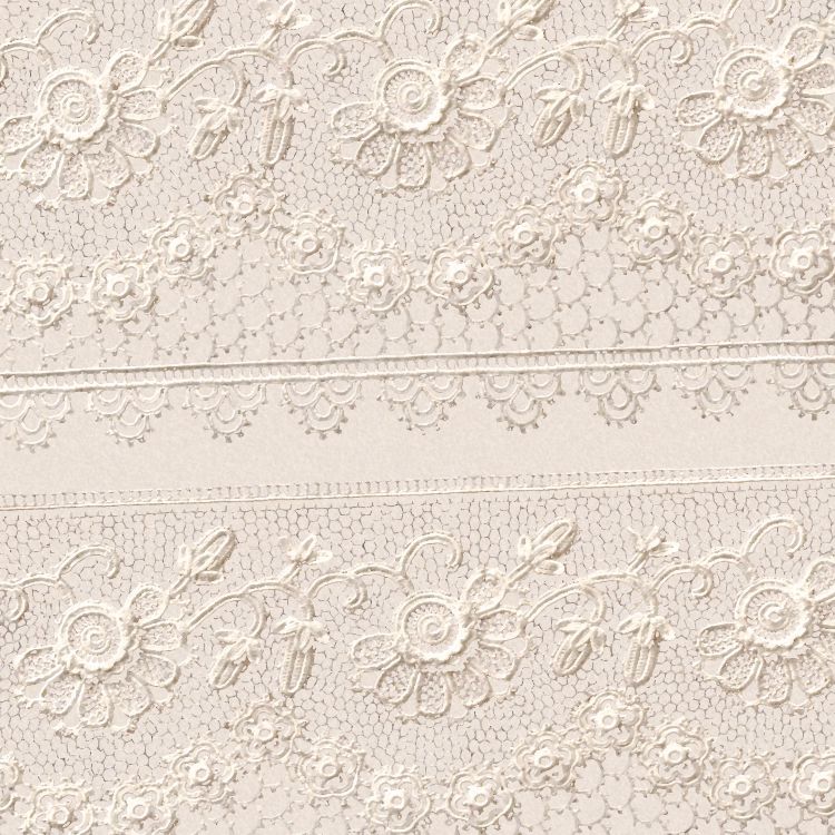 Realistic Lace 23