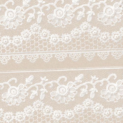 Realistic Lace 24