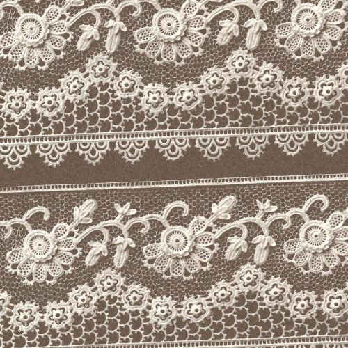 Realistic Lace 26
