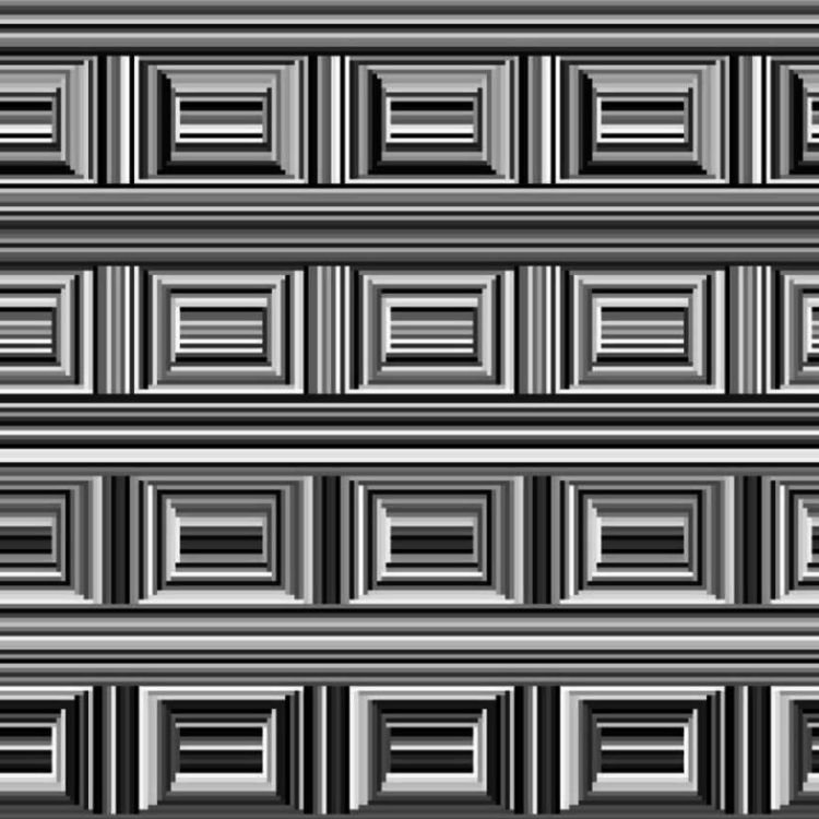 Rectangular Circles Illusion