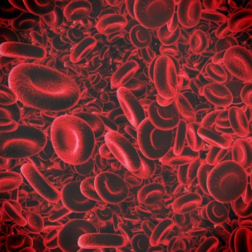 Red Corpuscles 23