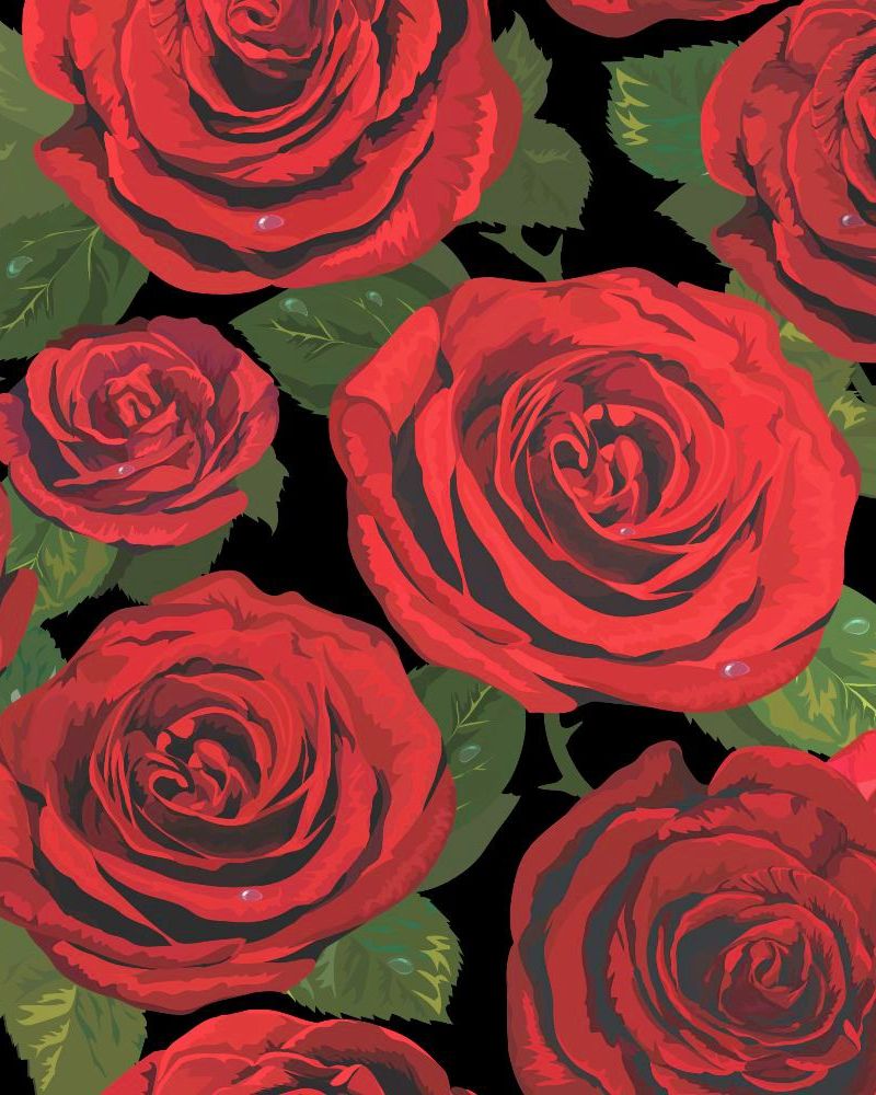 Red Roses 22