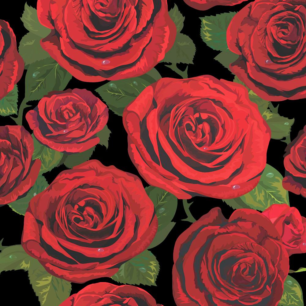 Red Roses 22