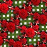 Red-Roses-25
