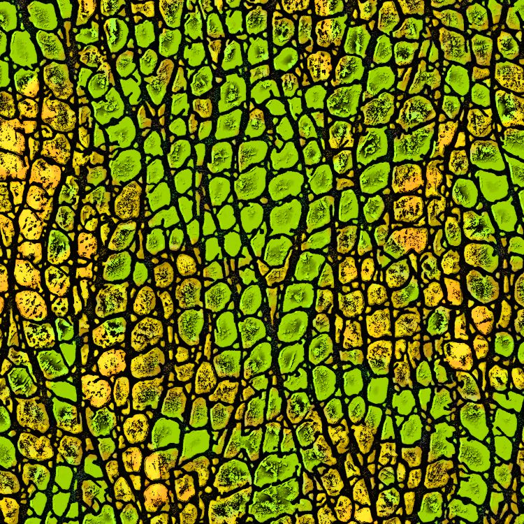 Reptile Skin 25