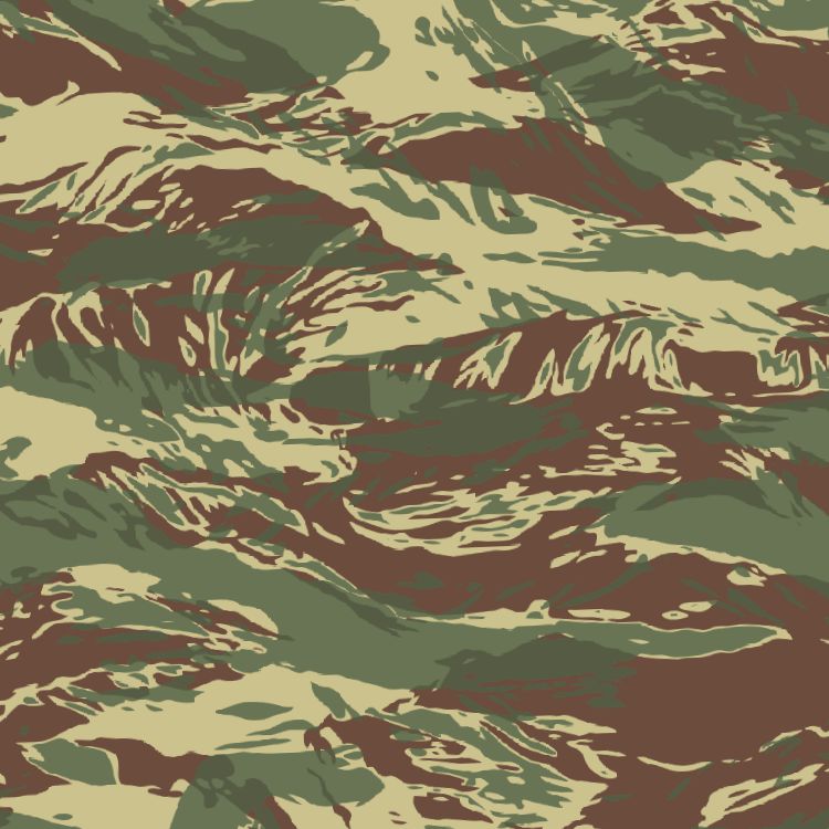 Rhodesian Tiger Stripe 22 Camouflage