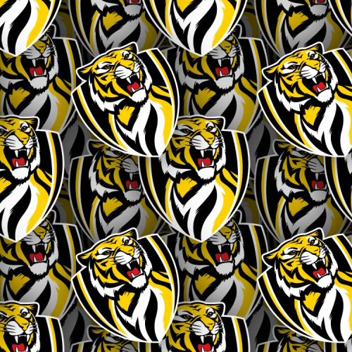 Richmond Football Club 22