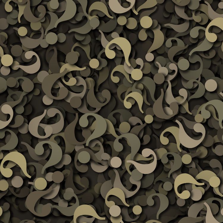 Riddler Camouflage 22