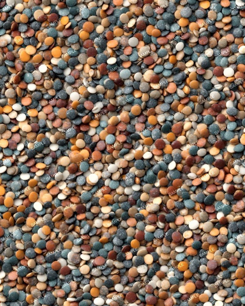 River Sand