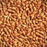 Roasted-Almonds