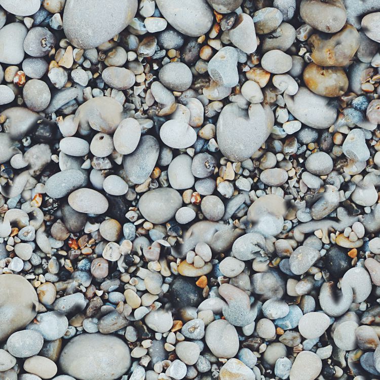 Rock Garden 22