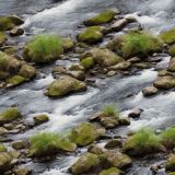 Rocky-Flowing-Creek-42
