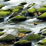Rocky-Flowing-Creek-43