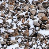 Rocky-Mountain-Spring-Camo
