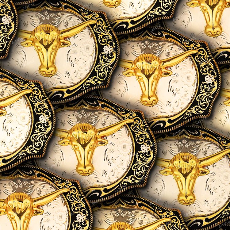 Rodeo Buckles 23
