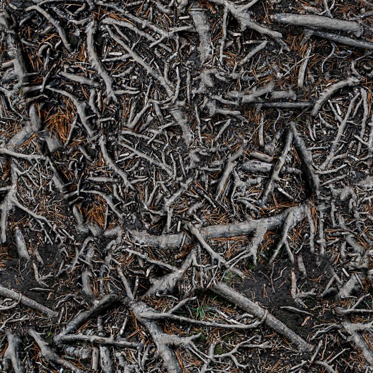 Roots Camouflage