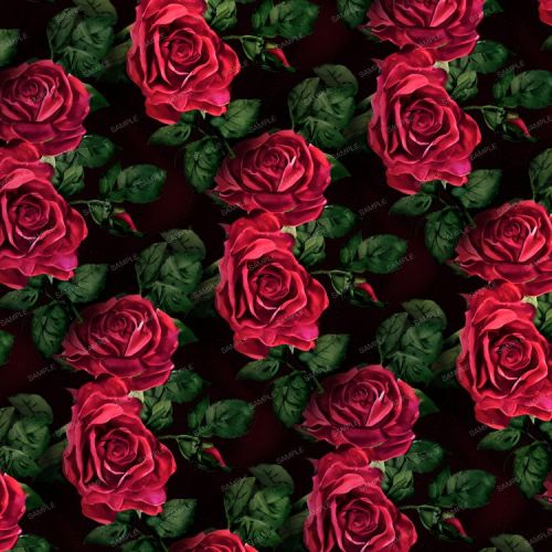 Roses 44