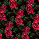 Roses-44