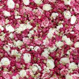Roses-and-Achillea-Backdrop