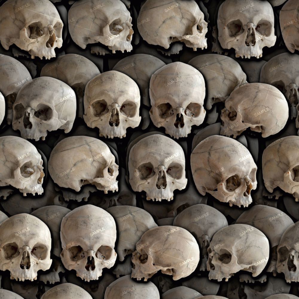 Rows of Skulls