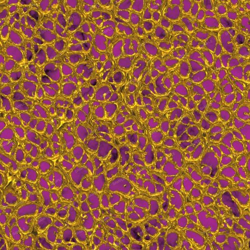 Royal Golden Matrix
