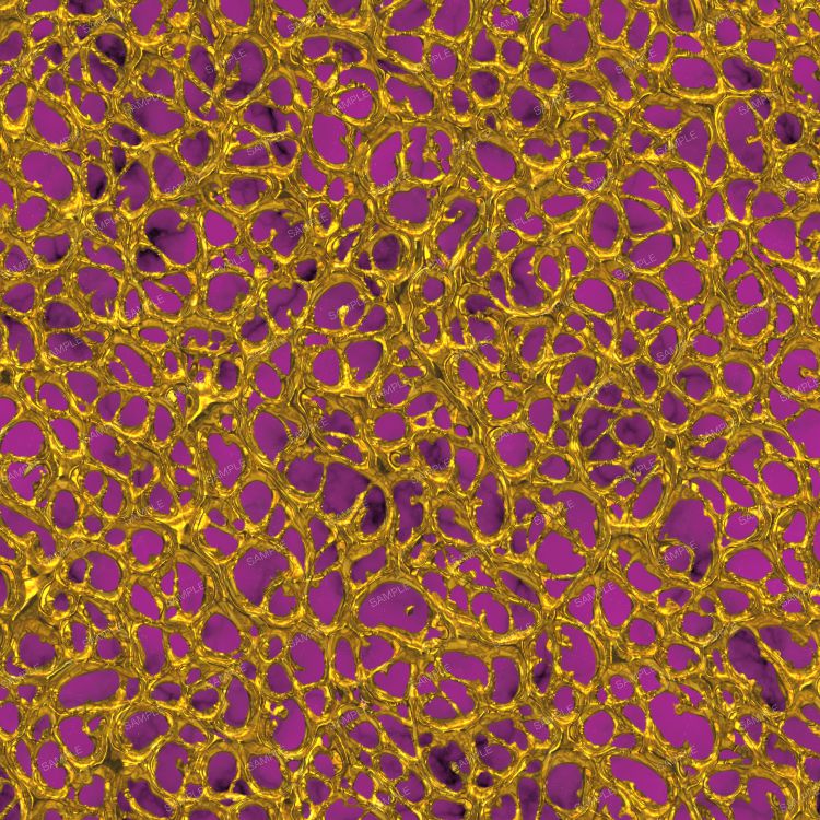 Royal Golden Matrix