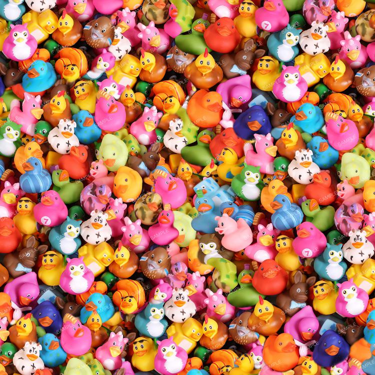 Rubber Duckies