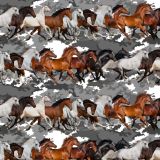Running-Mustangs-23.jpg