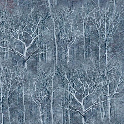 Russian Night Forest Camouflage