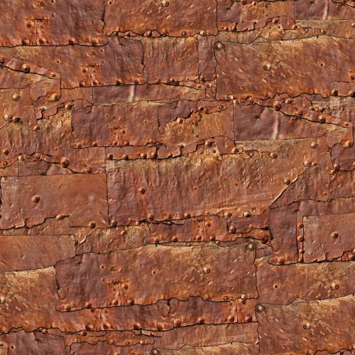 Rusty Riveted Plate 25