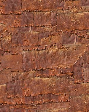 Rusty Riveted Plate 25