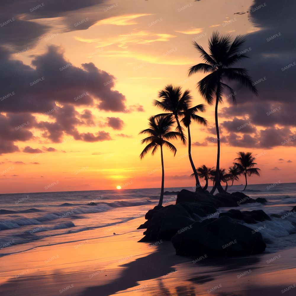 Sunset on the Beach 42