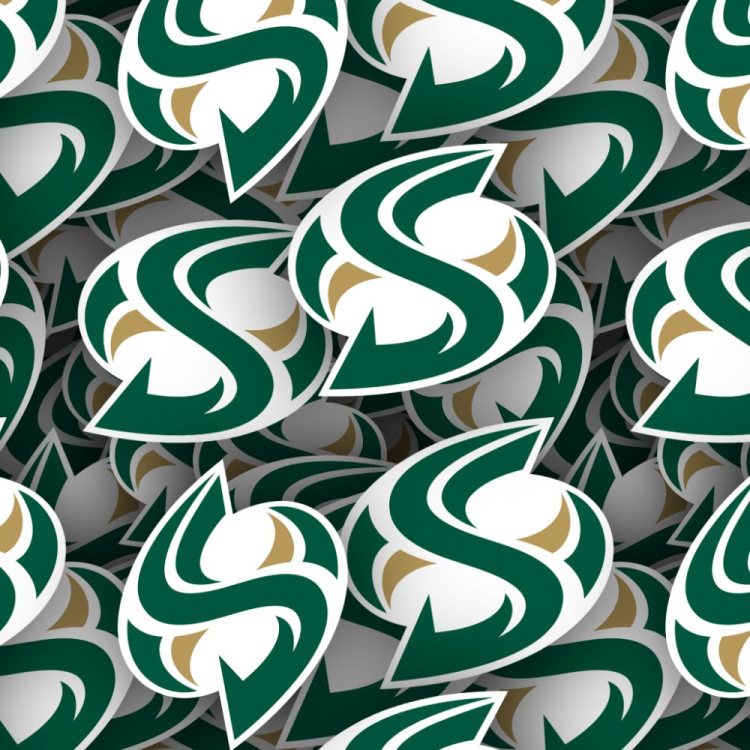 Sacramento State College (California State University, Sacramento)