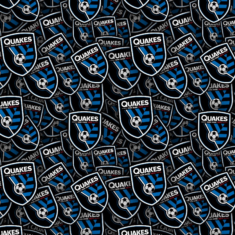 San Jose Earthquakes 22