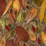 Scattered-Leaves-23-thumb