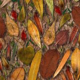 Scattered-Leaves-24-thumb
