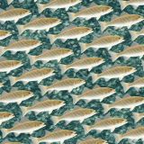 School-of-Striper-Bass-42