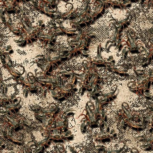 Scorpion 22 Camouflage