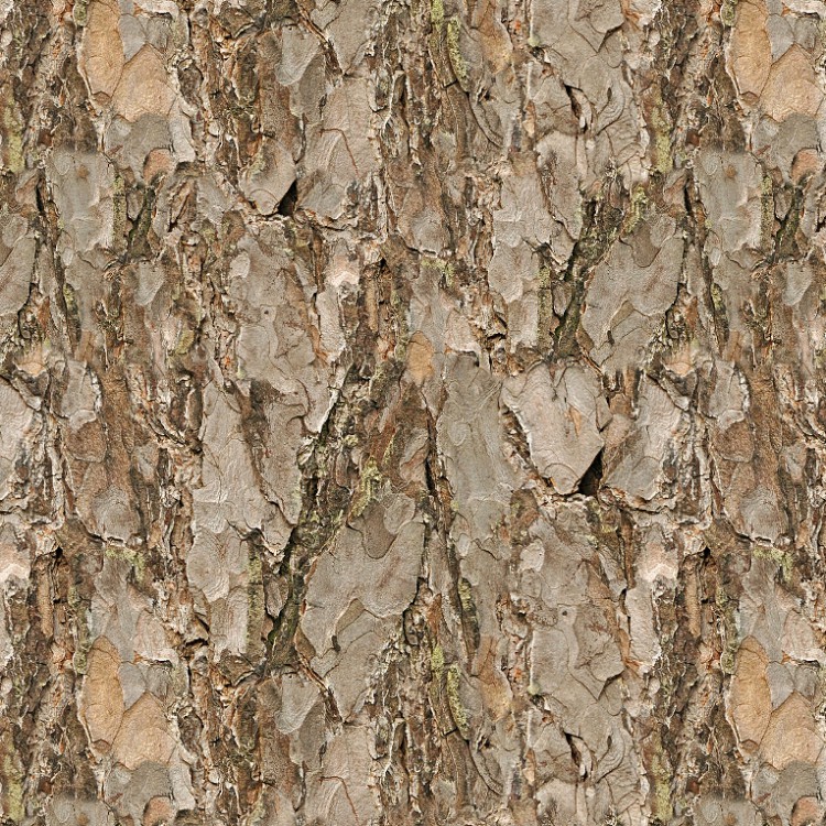 Scots Pine Bark 22