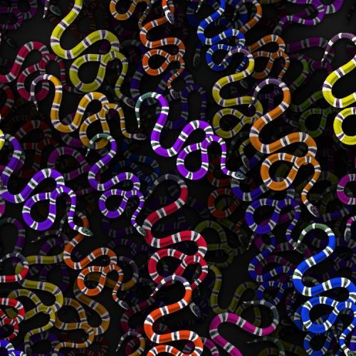 Sea Snake 23