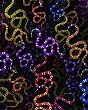 Sea Snake 23