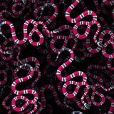 Sea-Snake-24