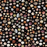 Seashells-25-thumb