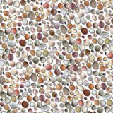 Seashells-27-thumb