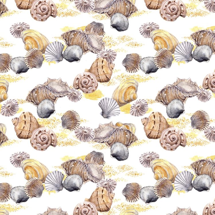 Seashells & Sand