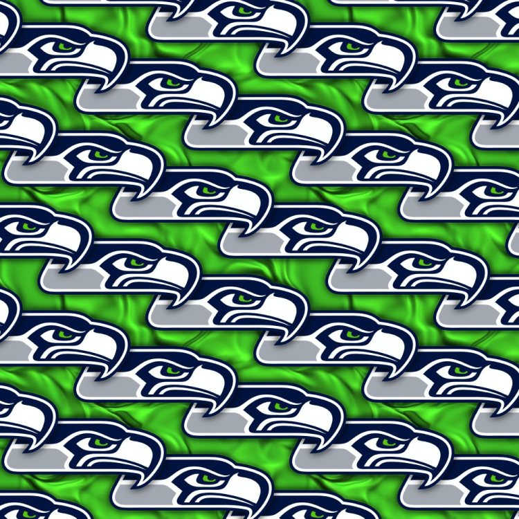 Seattle Seahawks 23