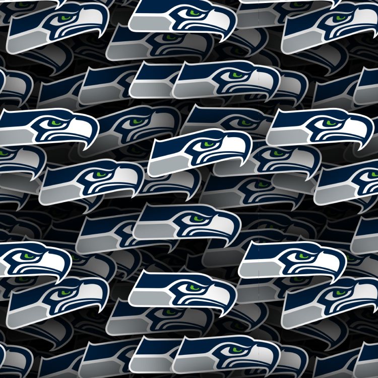 Seattle Seahawks 24